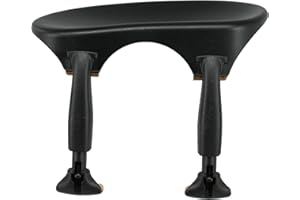 WITTNER Viola-Acoustic, (WIT-254131)