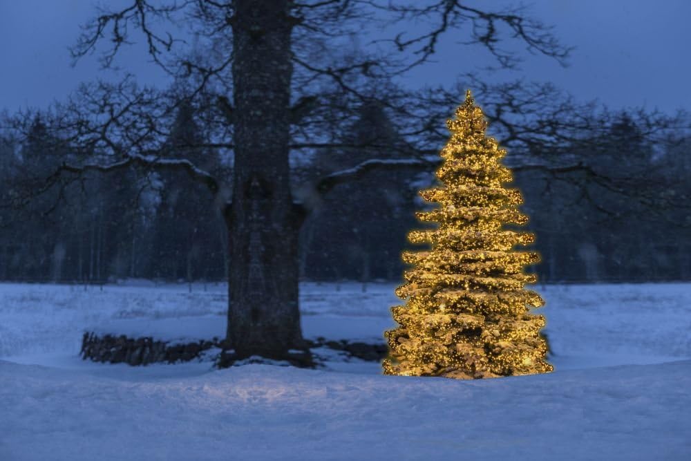 Konstsmide Micro LED Cluster Christmas Lights/ Outdoor or Indoor (IP44)/ 8 Functions with Memory / 2016 Amber Diodes/ Black Cable - Image 5