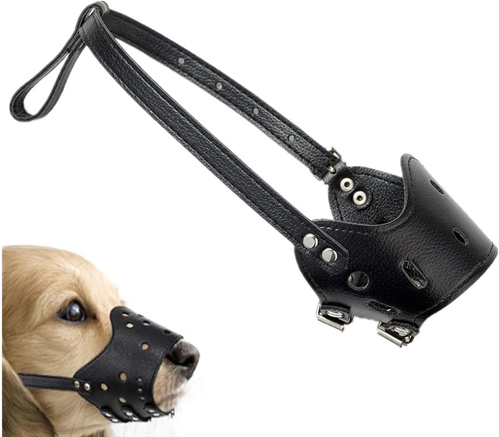 muzzle safe