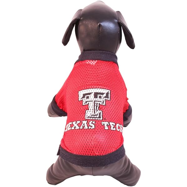 Texas Longhorn Dog Collar NCAA Rutgers Scarlet Knights Dog