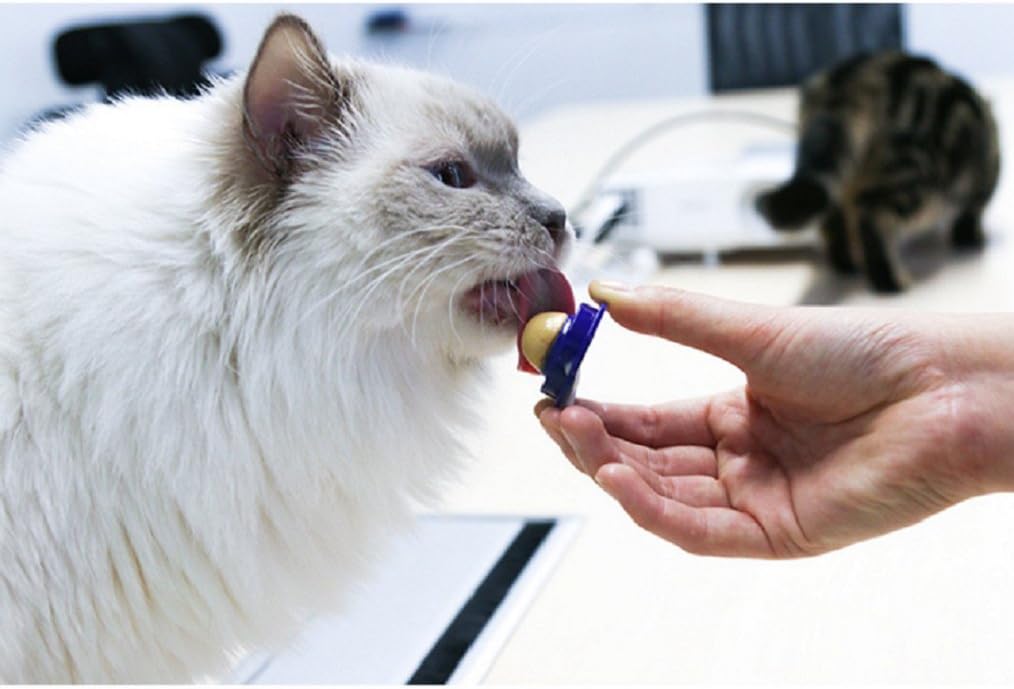 MATECam Cat Snacks Candy Licking Sugar Solid Nutrition Gel Energy Ball Cat Treat, Increase Drinking Water And Help Digestion (2pack)