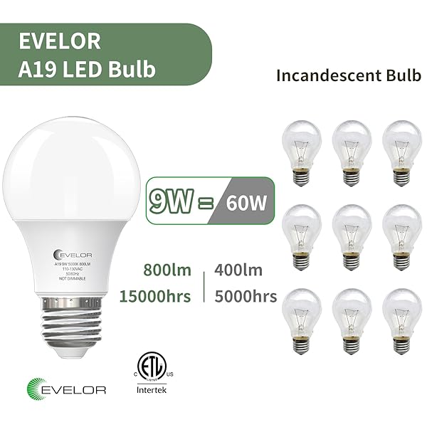 EVELOR A19 LED LIGHT BULBS,60 WATT EQUIVALENT DAYLIGHT 5000K WITH E26 BASE,EFFICIENT 9W,800 LUMENS NON-DIMMABLE LED BULBS,15000 HOURS, IDEAL FOR BEDROOM LIVING ROOM, 4-PACKS