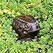 Achla Designs Frog, Garden Animal Statue