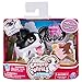 Chubby Puppies & Friends - Single Pack - Papillon