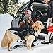 Kurgo North Country Dog Coat, Dog Winter Jacket, Waterproof Dog Jacket, Dog Snow Jacket and Windproof Dog Coat, Reflective Dog Fleece (Red, Medium)