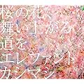 ���β֡��񤤾夬��ƻ��/����ե���ȥ����ޥ�