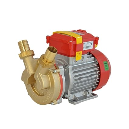 Elektropumpe Umfüllen Flüssigkeiten selbstsaugend bisenso. Impeller A Geometrie). Pumpe und Impeller IN BRONZE, Baum aus Edel