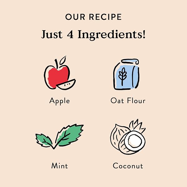 BOCCE’S BAKERY BREATH DAILY SUPPORT TREATS FOR DOGS, WHEAT-FREE DOG TREATS, MADE WITH REAL INGREDIENTS, BAKED IN THE USA, SUPPORTS ORAL HEALTH, ALL-NATURAL APPLE & MINT BISCUITS, 12 OZ