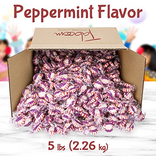 Brach's Peppermint Star Brites Mints Hard Candy (5 Pounds) Pricepulse