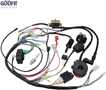 Amazon.com: GOOFIT Ignition Rebuild Kit Wiring Harness for 50cc 90cc