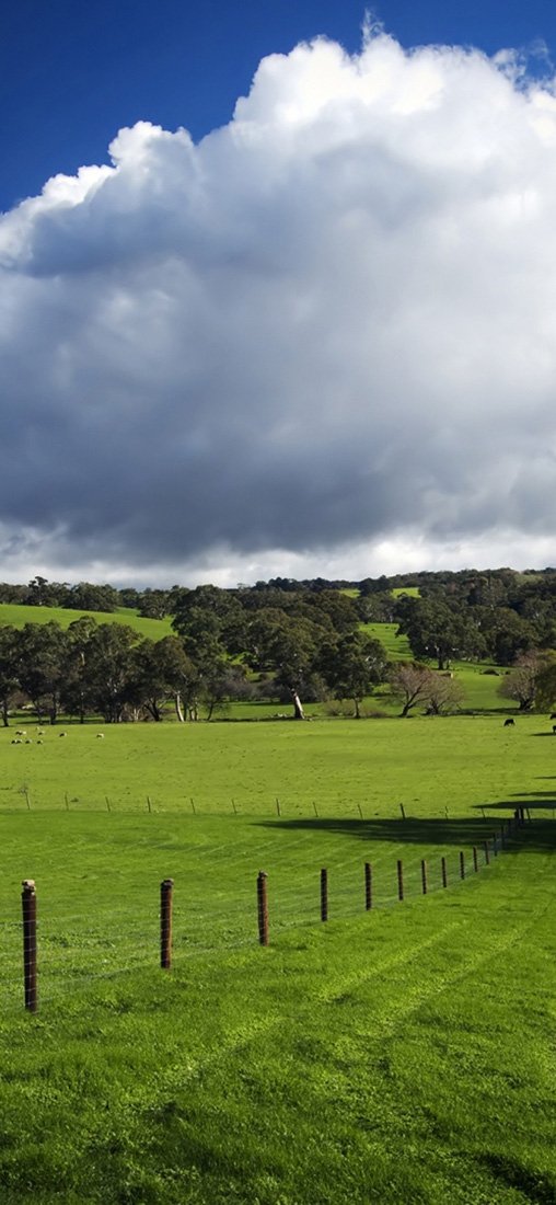 PeelitStickit, Beautiful Nature Wall Murals, ID-1213, vinyl