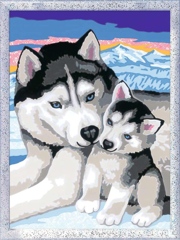 Ravensburger CreArt 28479 - Husky Kiss - Painting by Numbers Dog for Children from 7 Years