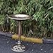 ZENY Outdoor Garden Bird Bath 28Inch Weather Resistant Polyresin Birdbath, Bronze