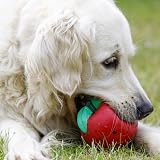 Petface Latex Tomato Soft Chew Dog Toy Small view 2