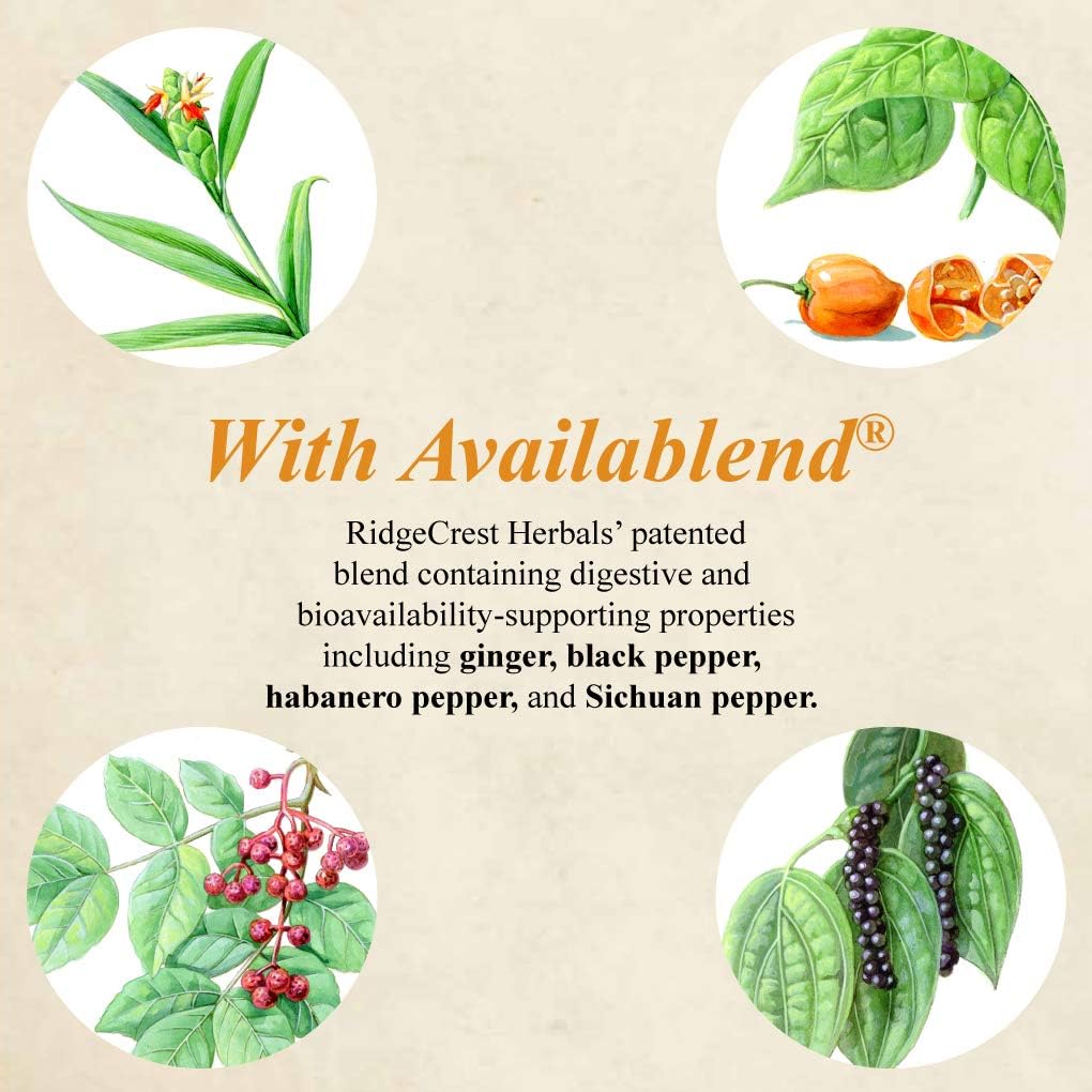 RidgeCrest Herbals Adrenal Fatigue Fighter, Adaptogen Stress Support, 60 Vegetarian Capsules: Health & Personal Care