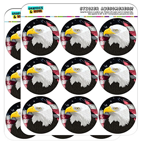 American Bald Eagle Flag USA Patriotic 2