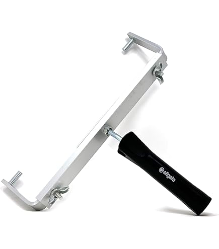 Amazon.com: WHIZZ 153921 L160DB1 24