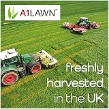 A1Lawn A1 Lawn Seed Mix 5kg DEFRA Certified Fast Growing Patch Repair view 8