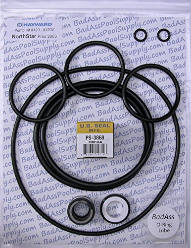 Hayward Northstar Go Kit, Saltwater/Ozone Pump O-Ring Rebuild Kit (Pumps Prior 2003)