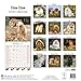 Chow Chow Calendar - Dog Breed Calendars - 2018 - 2019 Wall Calendars - 16 Month by Avonside