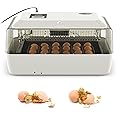 Life Basis Automatic Egg Incubator with Temperature Control Digital Display, Poultry Hatcher Machine Large Capacity of 16-40 Eggs Turner for Hatching Chickens Egg Bird Duck Quail【12 Months Warranty】
