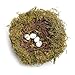 MomokoPeng Set of 2 Spring Bird Nests with Eggs，Twig Bird Nest Decorative Ornament with Clip(Green Bird's Nest)