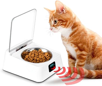 Amazon Com Beelike Auto Open Close Cat Bowl Pet Feeder Keep