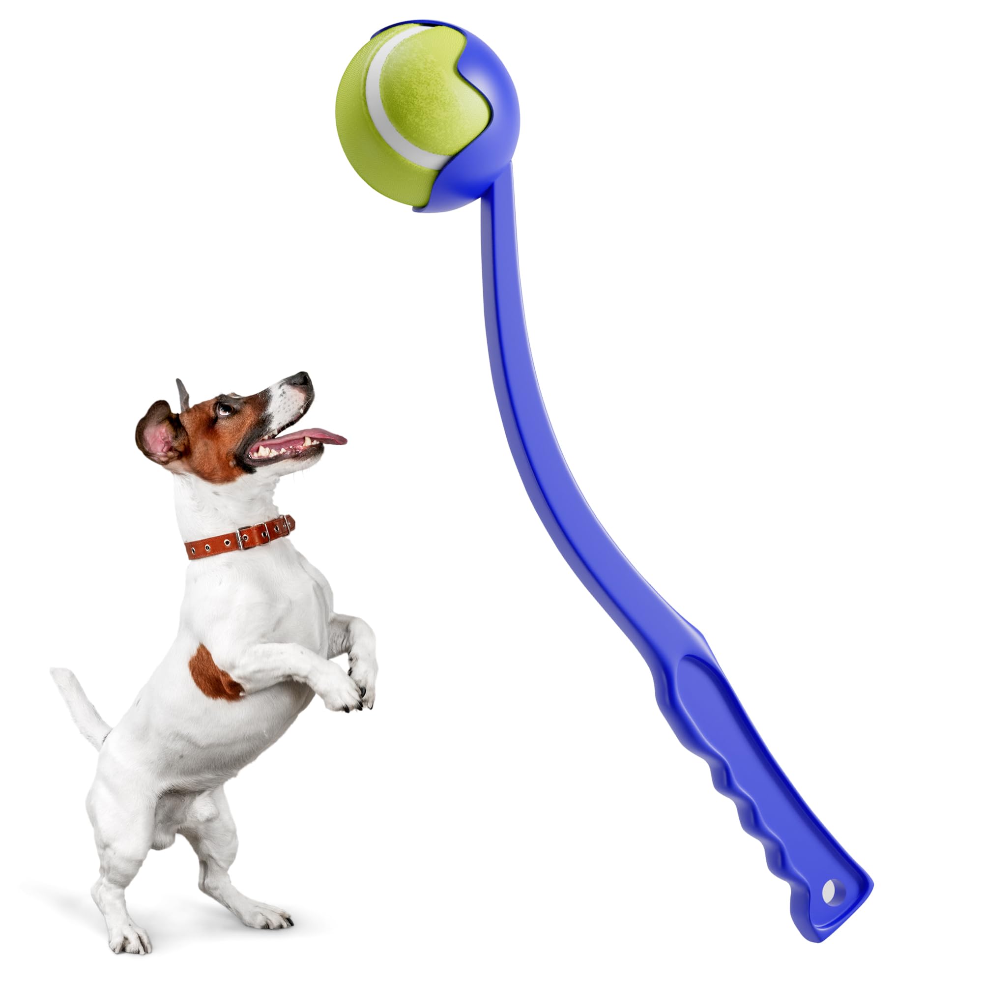 BILISH Dog Ball Thrower Launcher Squeaky Tennis Balls For Dogs Portable Small Chase Fetch Game Toy Dog Stuff Pick Up & Throw Play Chucker For Pet Exercise (blue)