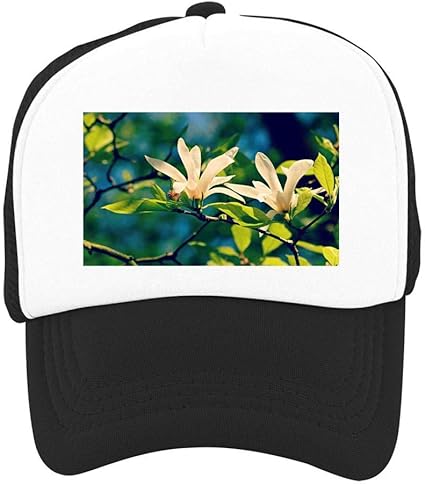 magnolia ball cap