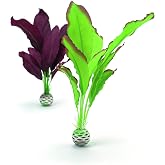biOrb Silk Plant Set Medium Green &amp; Purple