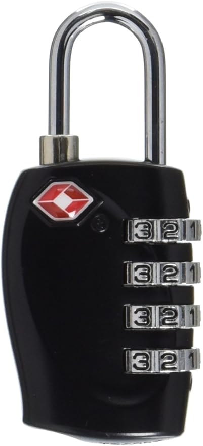 best tsa lock