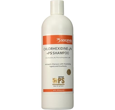 vca countryside animal hospital