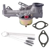 Dosens 491590 Replacement Carburetor Carb Compatible for Briggs & Stratton 390811 392152 Carb Fits Briggs & Stratton 191700 1