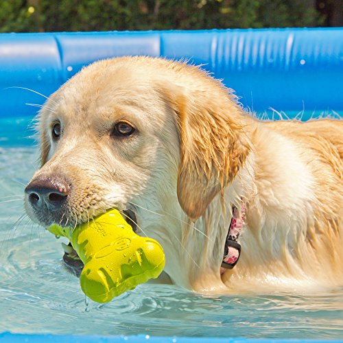 Hyper Pet Hyper Chewz Bone Chew Toy For Dogs