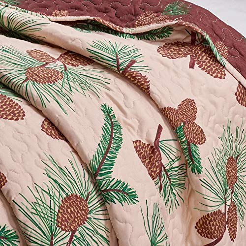 61gGdnvvIsL 61gGdnvvIsL