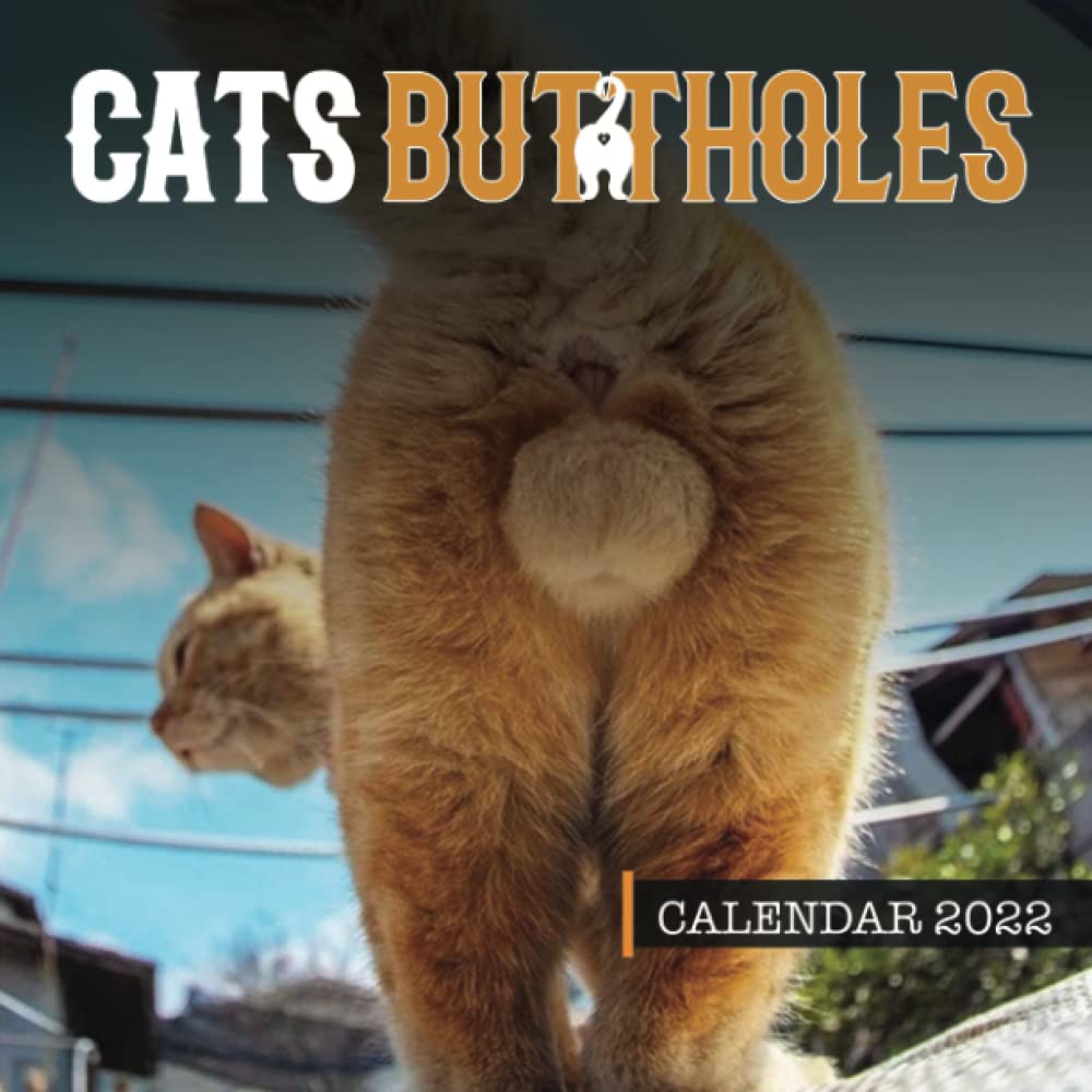 cats balls