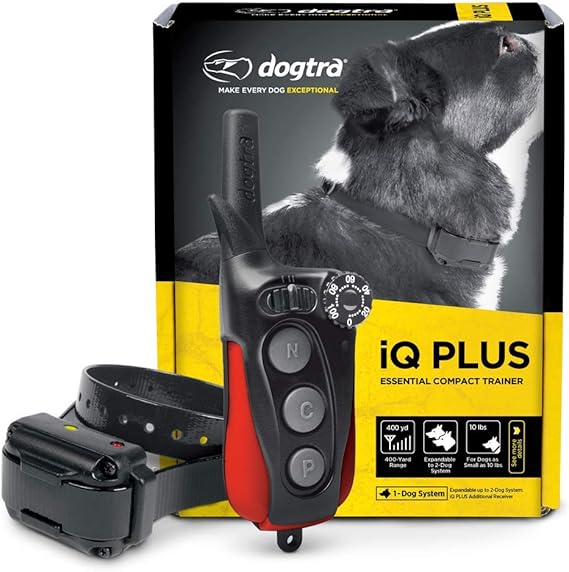 iq dog collar