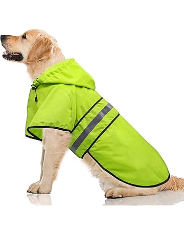 westie raincoat