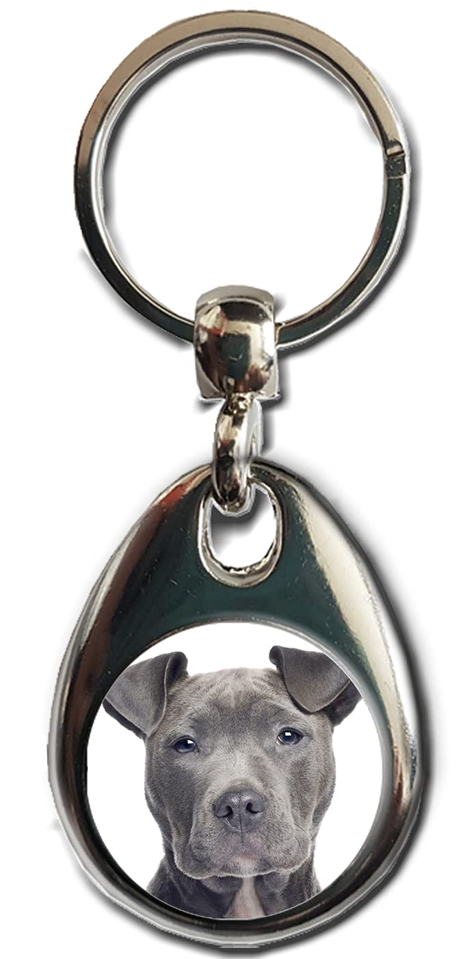 KAZMUGZ BLUE Staffordshire Bull Terrier Dog KEYRING. Heavy quality metal gift keyring. Double sided keychain. Puppy Dog Pet gift.