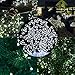 Solar Outdoor Lights 115ft 300 LED Fairy String Lights, Ambiance lighting for Outdoor, Patio, Lawn, Landscape, Fairy Garden, Home, Wedding, Holiday, Christmas Party, Xmas Tree,waterproof (Cool White)