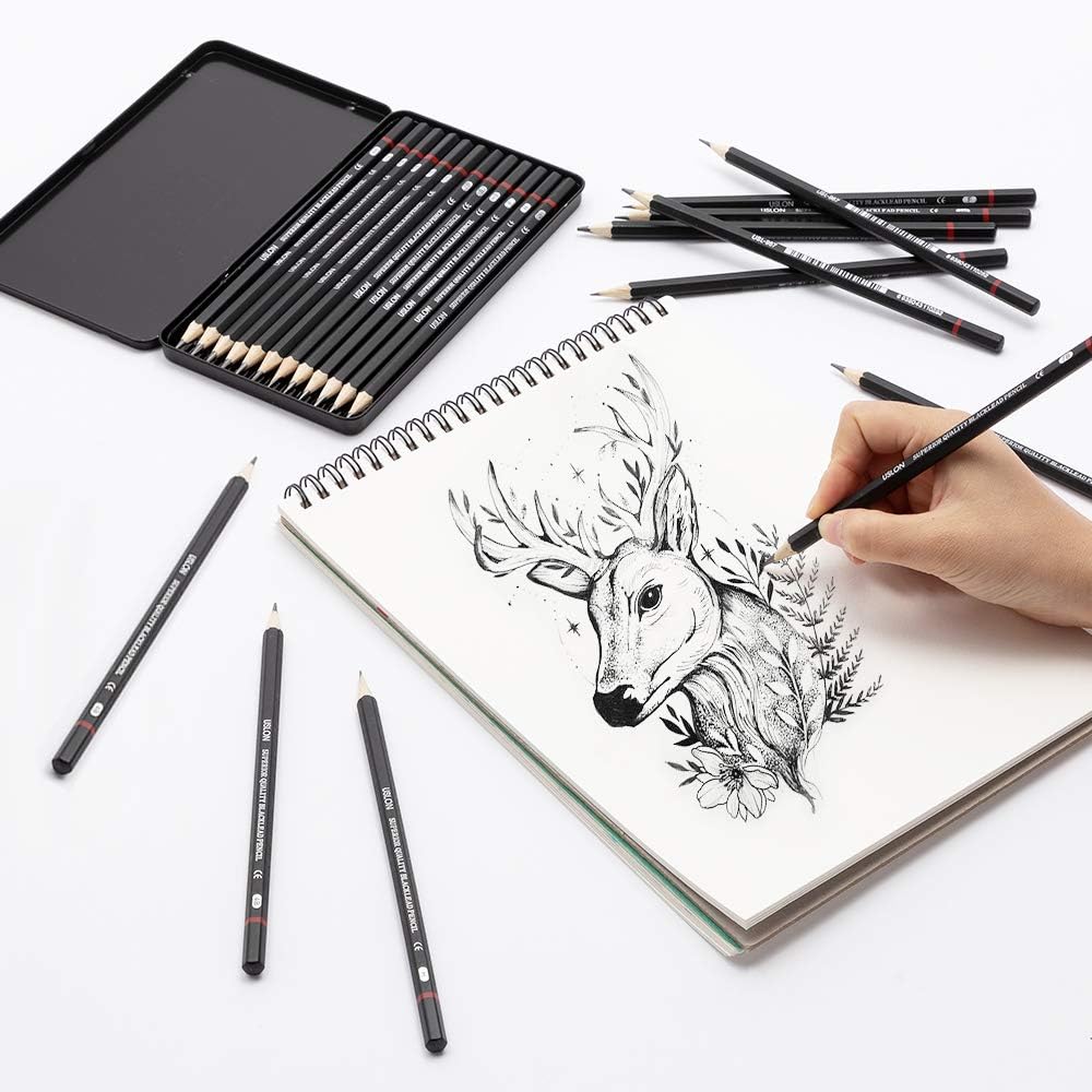 Professional Drawing Sketching Pencil Set - 12 Pieces Drawing Art Pencils (8B - 2H) Graphite Shading Pencils for Beginners & Pro Artists