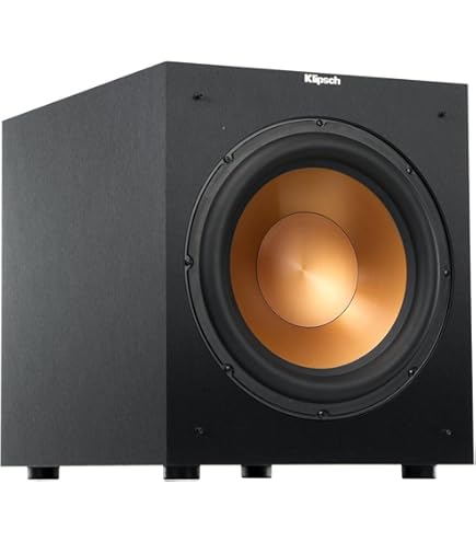 Amazon.com: BIC America RTR-EV1200 475-Watt RTR Eviction Series 12