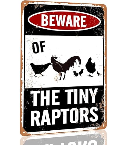 Amazon.com: Beware Of Chicken Sign Chicken Signs For Coop Funny
