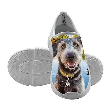 Amazoncom Fly Knit Dog Pug Labrador Shiba Inu Puppy