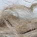 Natural Flax Fiber
