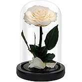 NATROSES Handmade Preserved Roses in Glass Dome, White Roses, Preserved Flowers Gifts for Women, Mothers Day Flowers