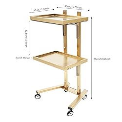 2 Tier Metal Rolling Cart, Stainless Steel Salon