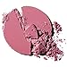 Glo Skin Beauty Powder Blush in Passion - Matte Vibrant Plum | 9 Shades | Cruelty Free, Talc Free Mineral Makeup