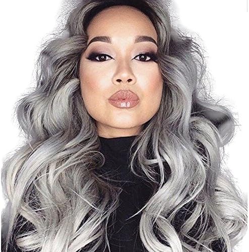 Lanting Ombre Gray 2 Tones Synthetic Lace Front Wig Dark Roots Long Beauty Wave Silver Grey Hair Wigs For Women Heat Resistant Fiber Hair Half Hand Tied (26inch lace front wig, black/gray)