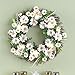 Lighted White Daisy Twig Wreath
